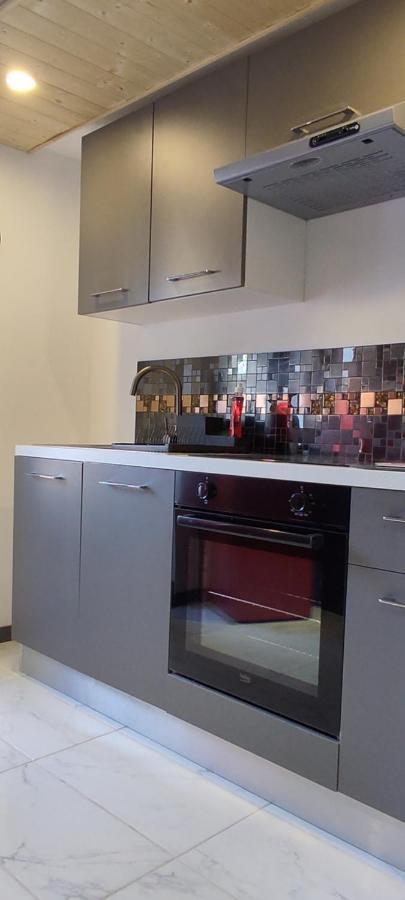 Les Souvenirs D'Alsace Apartment Колмар Екстериор снимка