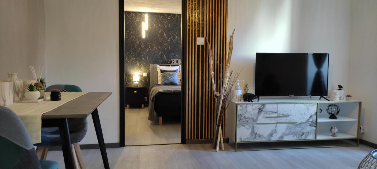 Les Souvenirs D'Alsace Apartment Колмар Екстериор снимка